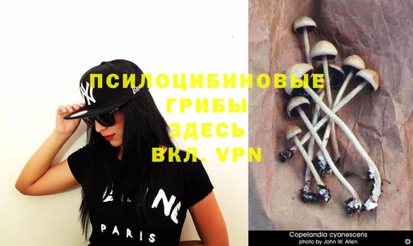 стафф Фурманов