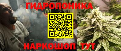 стафф Абинск
