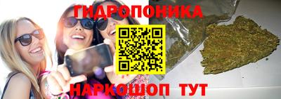 PSILOCYBIN Абакан