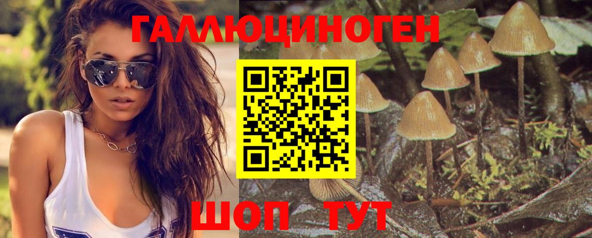 магазин  наркотиков  Псилоцибиновые грибы Psilocybe  Вход с VPN  Шарыпово 